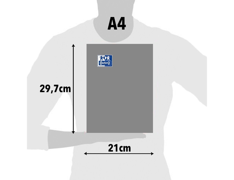 129174d.jpg
