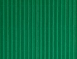 250_131395c.jpg