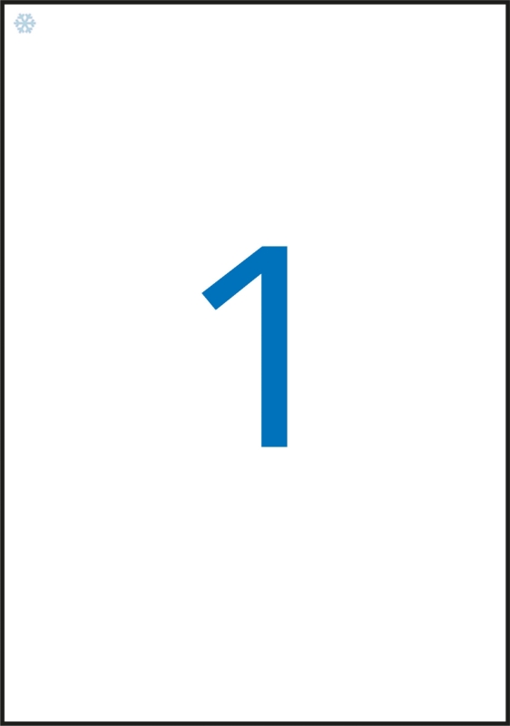 ETIQUETAS CONG.210,0x297,0 APLI 15072 10